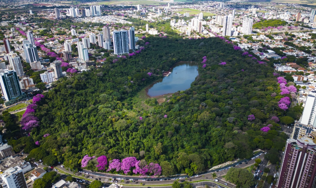 localização 1